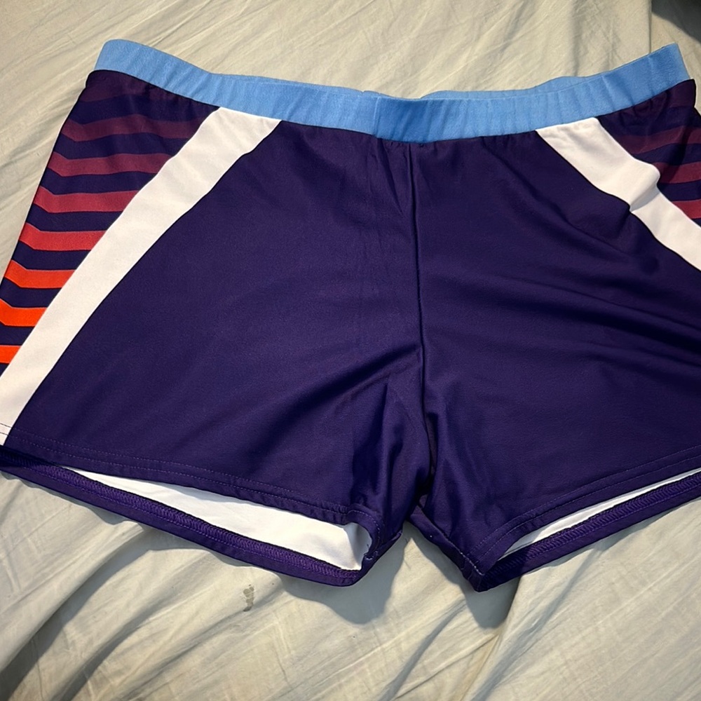 Varsity Purple and Blue Athletic Shorts